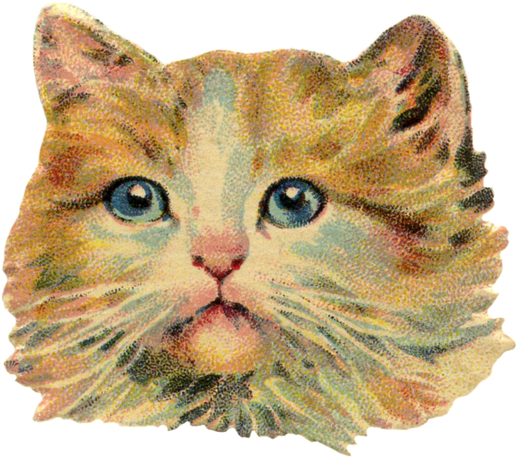 Vintage-Cat-Image-GraphicsFairy
